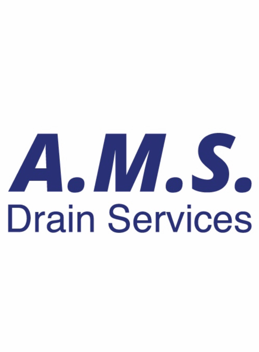 Company: Image 29